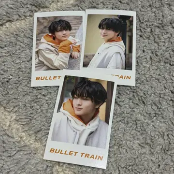 초특급 미니 사진 하루