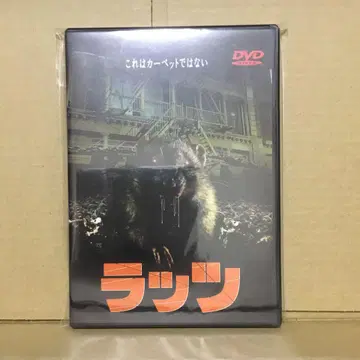 랏츠('84 이탈리)
