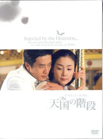 외국 드라마 DVD 천국의 계단 아직 끝나지 않은 사랑 이야기. BOX