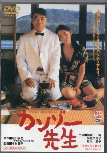 일본 국내 영화 DVD 간조 선생님