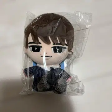 빅 스노 치루 와타나베 쇼타 덤 포함