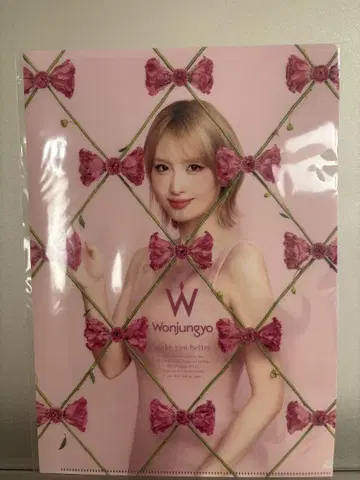 원정교 twice momo 클리어 파일