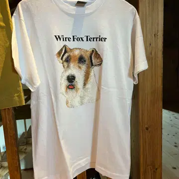 올드 T 와이어 폭스 테리어