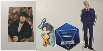 SEVENTEEN 세부치 원우 아크릴 스탠드 키링 트레이딩 카드 세트