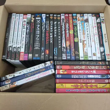 DVD 서양화 세트