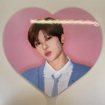 시온 부채