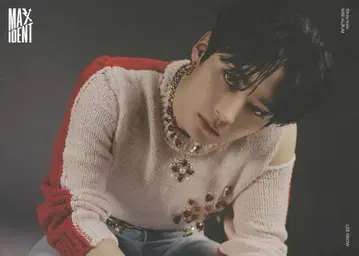 Stray Kids LeeKnow MAXIDENT 미니 포스터