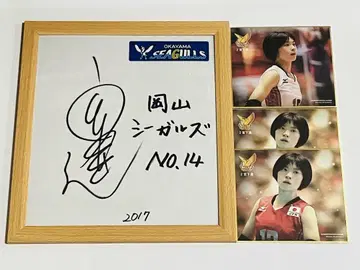 오카야마 시걸스 미야시타 하야토 선수 친필 사인 색지 덤 사진 색지 3장
