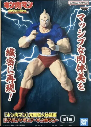 근육맨 완벽한 초인류의 조상 편 리얼 피규어 근육맨 피규어