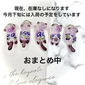 나팔꽃, 얼음, 고양이 5개 세트