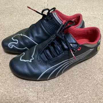 퓨처 캣 드라이빙 슈즈 24cm