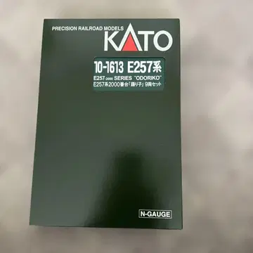 10-1613 E257계 2000번대 '무희' 9량 세트