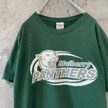 PANTHERS 풋볼 어스 컬러 분위기 만점 티셔츠