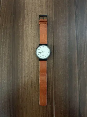 SKAGEN 손목시계 SKW637 블랙