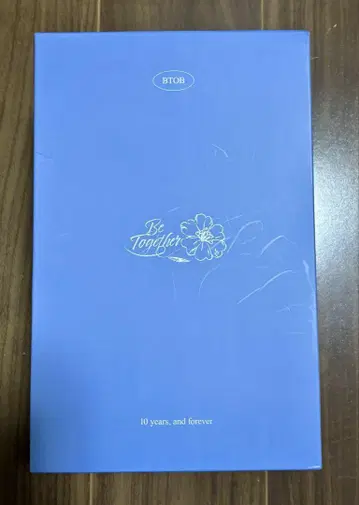 BTOB 공식 응원봉 케이스 멜본용