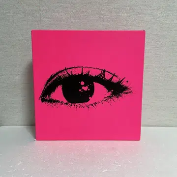 시이나 린고 Sheena Ringo 책