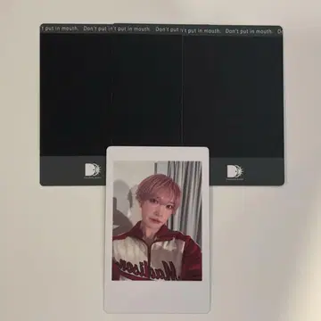 팬더 드래곤 파라곤 타이 가 히파카
