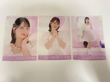 사사키 마이카 브로마이드 컴프 아리츠 추가 공연