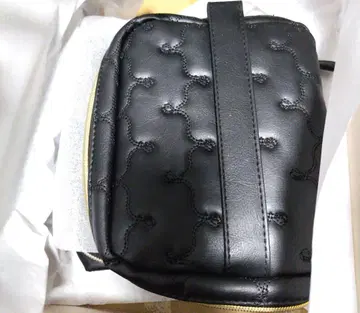 로베르타 디카메리노 파우치