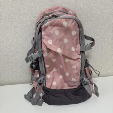 백팩 및 보스턴 백