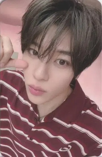 NCT WISH fromm 스토어 VC SION 스테디