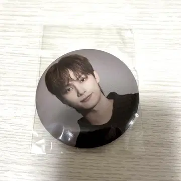 SEVENTEEN 세부치 준 캔뱃지 incomplete 온콘