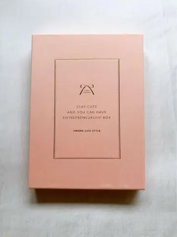 귀여운 모습을 유지하면서 창업할 수 있는 BOX/미야모토 카미미