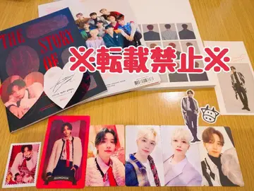 SEVENTEEN 세부치 시그리 정한