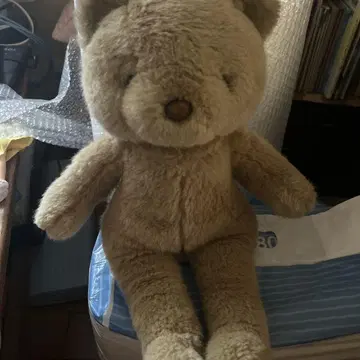 오오이케 곰 봉제 인형