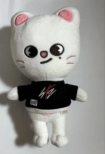 straykids skzoo 지니 레트 오리지널 버전