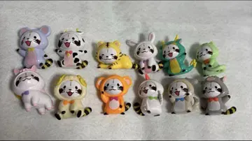 코코스 라스칼 마그넷 띠 편 컴플리트