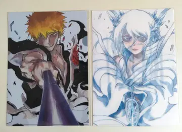 BLEACH 원화전 클리어 파일 묶음 판매 쿠로사키 이치고 후목 루키아