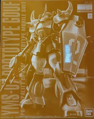 반다이 MG 1/100 기동전사 건담 MSV 프로토타입 구프