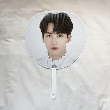 SEVENTEEN 세부치 정한 돔 투어 부채