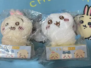 치이카와 피타레스토 하치와레 토끼