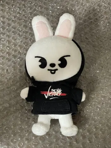 skzoo mini Lee 비트