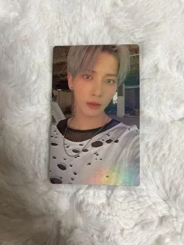 txt 태현 freeze naver 라키드로 트레이딩 카드 혜택