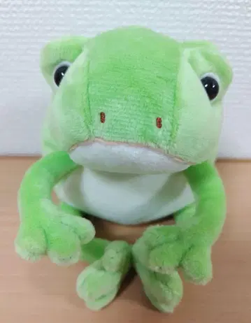 몬수이 개구리 보노 라이트 그린 봉제 인형