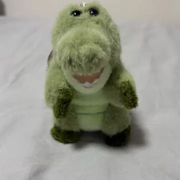 워리프 렌즈 워리