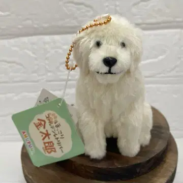 포근한 골든 리트리버 긴타로 봉제 인형 마스코트 키링