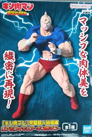 근육맨 리얼 피규어 근육맨