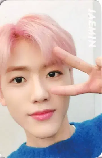 NCT DREAM 재민 THE DREAM B