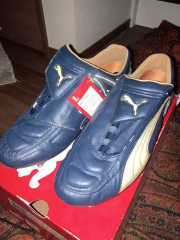 Puma 축구화 파랑/금