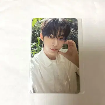 tws 도훔 라키드로 유니버셜