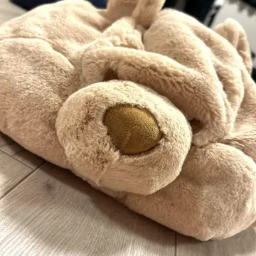 푸우의 팬 캡