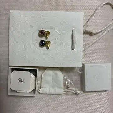 스와로브스키 귀걸이 와타나베 쇼타