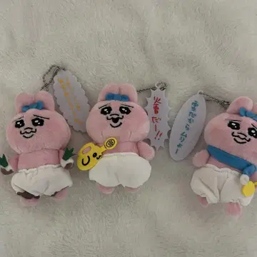 빤쮸토끼 세트