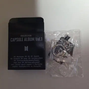 2025 BTS 페스타 캡슐 앨범 Vol.1