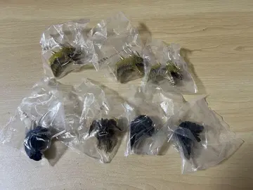 제일복권 고질라 대괴수열전 G G상 몬스터 헤드 마그넷