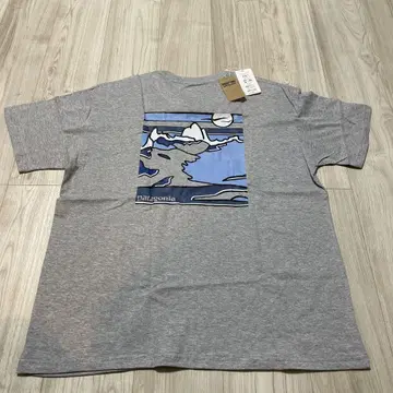Patagonia 그레이 티셔츠 풍경 디자인